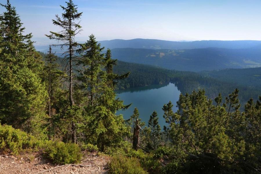 Apartmany U Sneka Železná Ruda Exterior foto